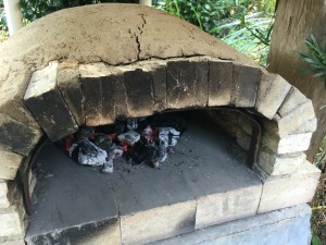 IMG_0592