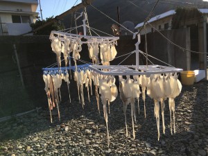 IMG_0945